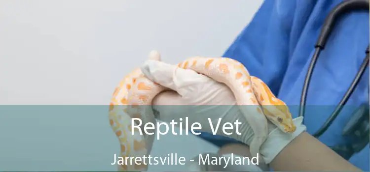 Reptile Vet Jarrettsville - Maryland