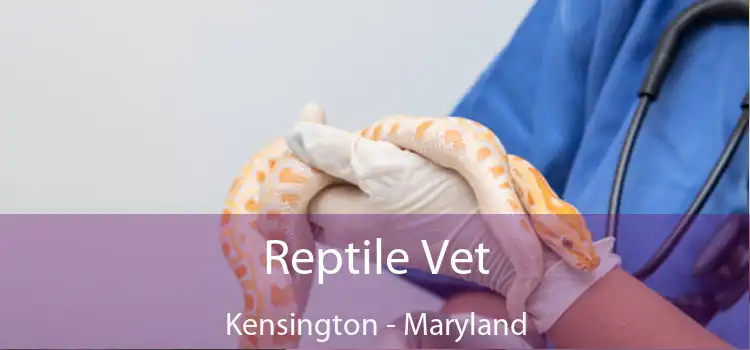 Reptile Vet Kensington - Maryland