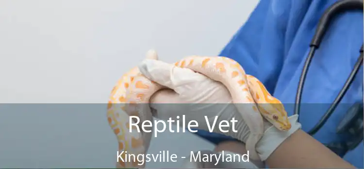 Reptile Vet Kingsville - Maryland