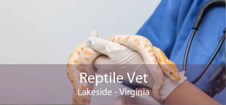 Reptile Vet Lakeside - Virginia