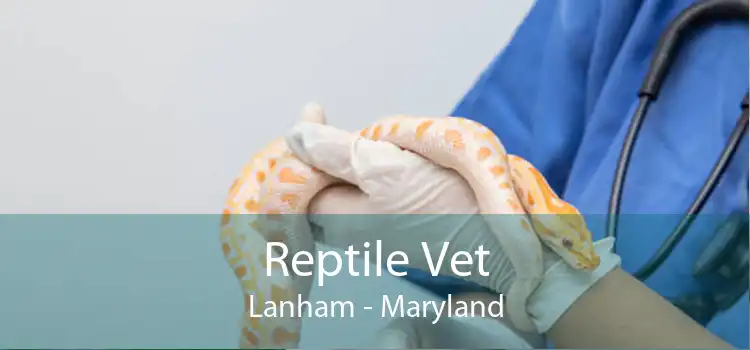 Reptile Vet Lanham - Maryland