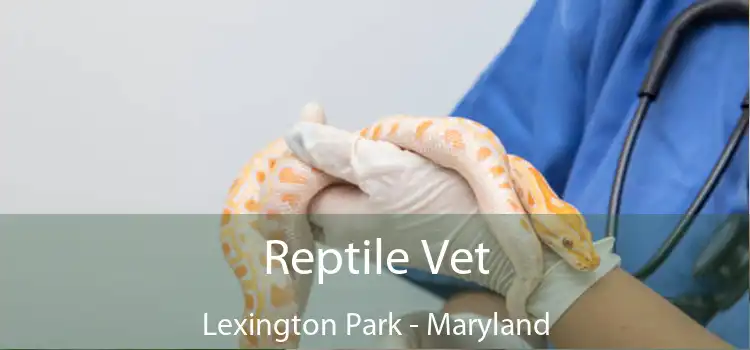 Reptile Vet Lexington Park - Maryland