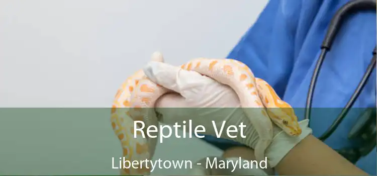 Reptile Vet Libertytown - Maryland