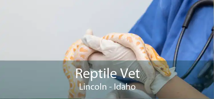 Reptile Vet Lincoln - Idaho