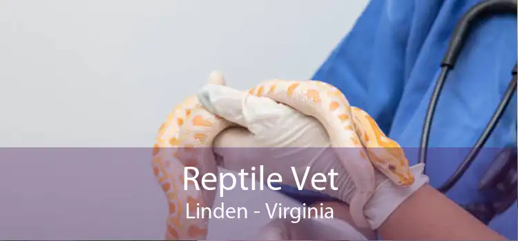 Reptile Vet Linden - Virginia