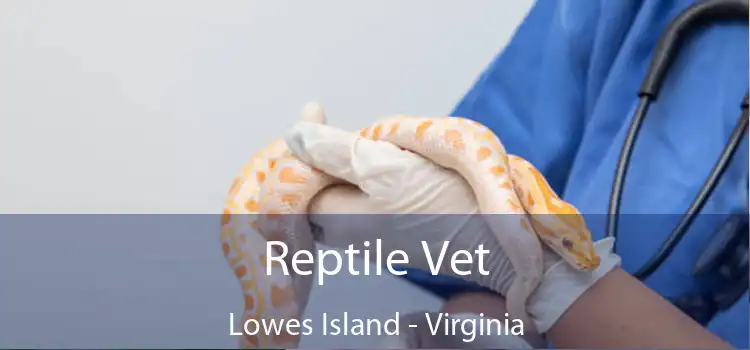Reptile Vet Lowes Island - Virginia