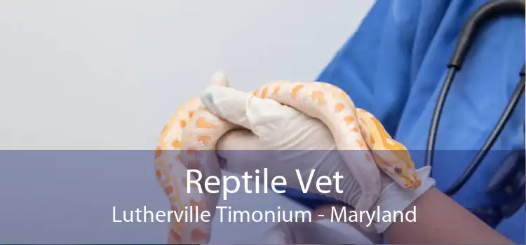 Reptile Vet Lutherville Timonium - Maryland