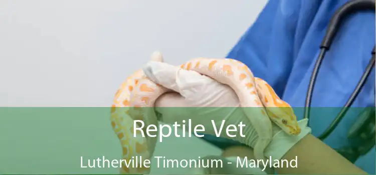 Reptile Vet Lutherville Timonium - Maryland