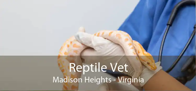 Reptile Vet Madison Heights - Virginia