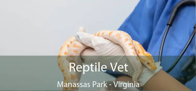 Reptile Vet Manassas Park - Virginia