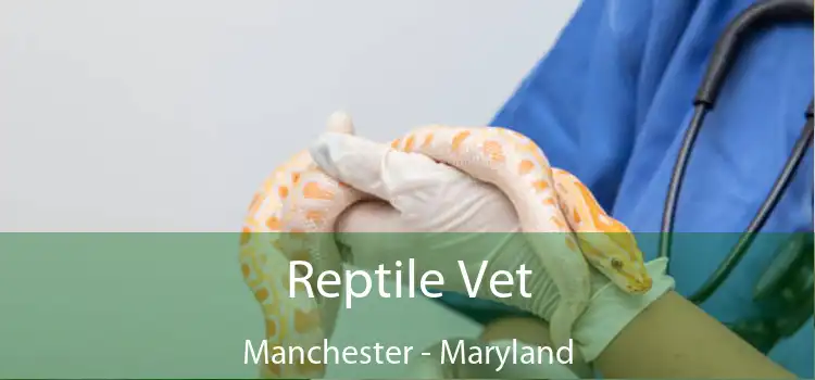 Reptile Vet Manchester - Maryland