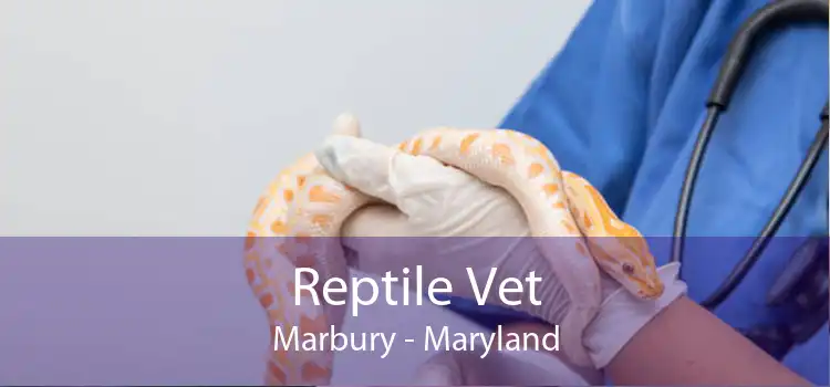 Reptile Vet Marbury - Maryland