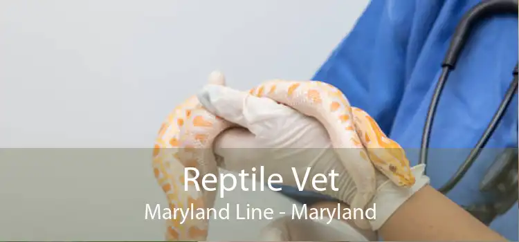 Reptile Vet Maryland Line - Maryland