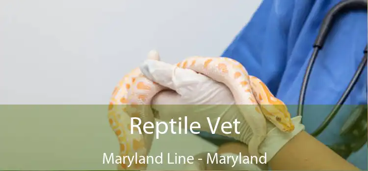 Reptile Vet Maryland Line - Maryland