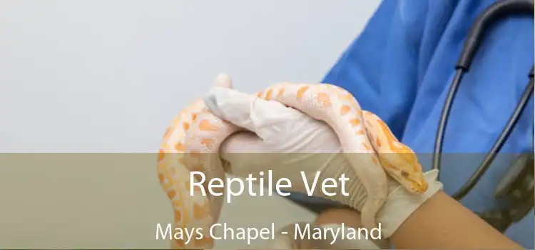 Reptile Vet Mays Chapel - Maryland