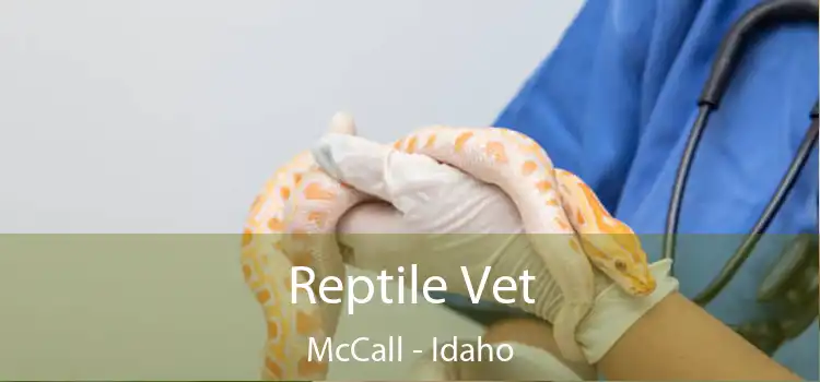 Reptile Vet McCall - Idaho