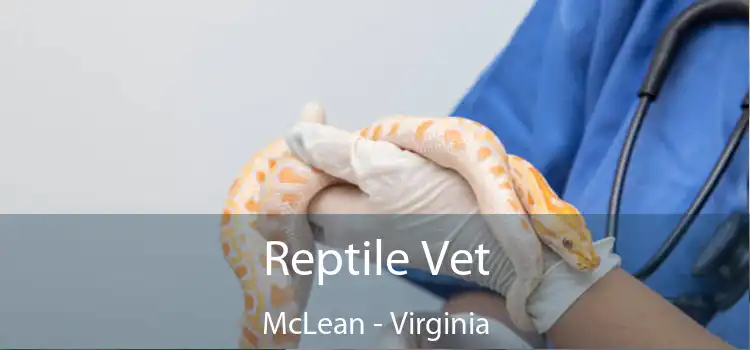 Reptile Vet McLean - Virginia