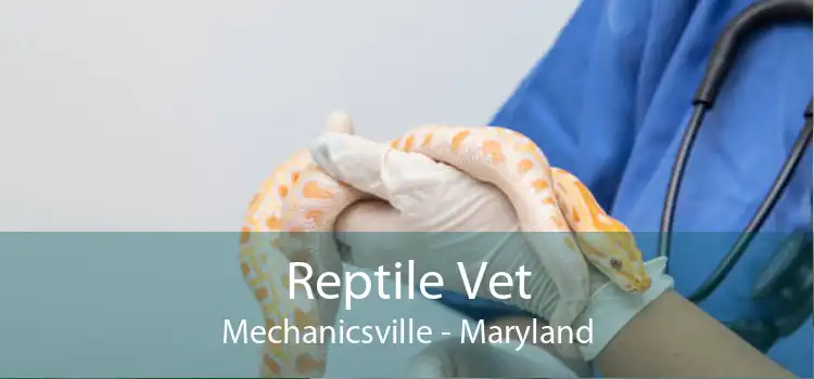 Reptile Vet Mechanicsville - Maryland