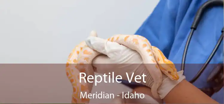 Reptile Vet Meridian - Idaho