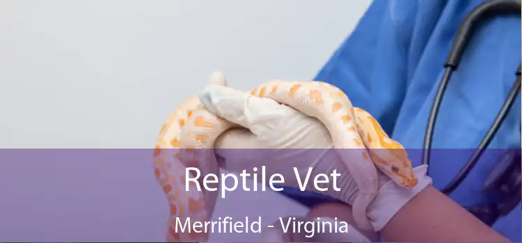 Reptile Vet Merrifield - Virginia