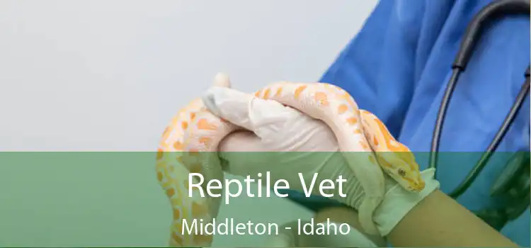 Reptile Vet Middleton - Idaho