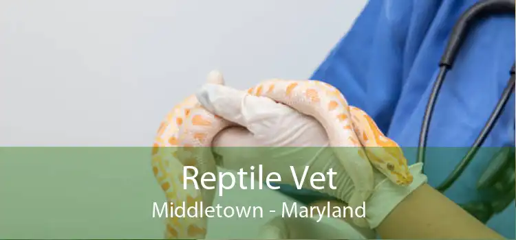 Reptile Vet Middletown - Maryland