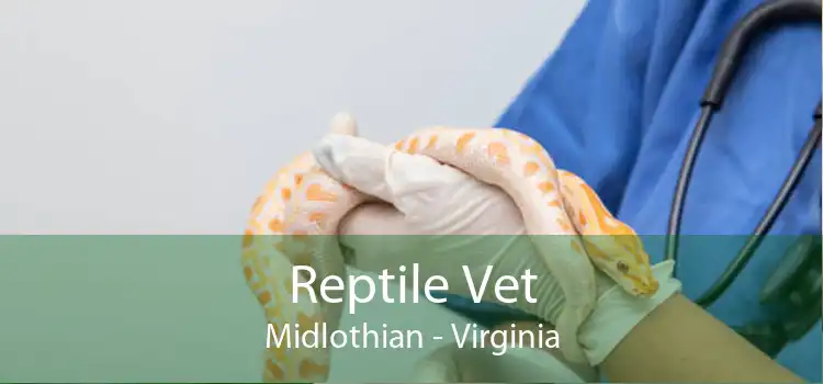Reptile Vet Midlothian - Virginia