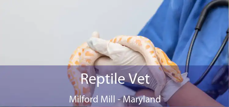 Reptile Vet Milford Mill - Maryland