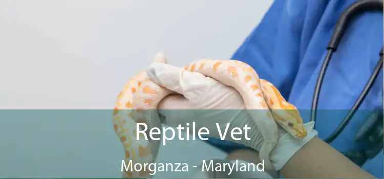 Reptile Vet Morganza - Maryland