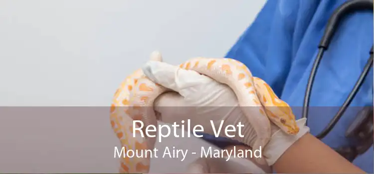 Reptile Vet Mount Airy - Maryland