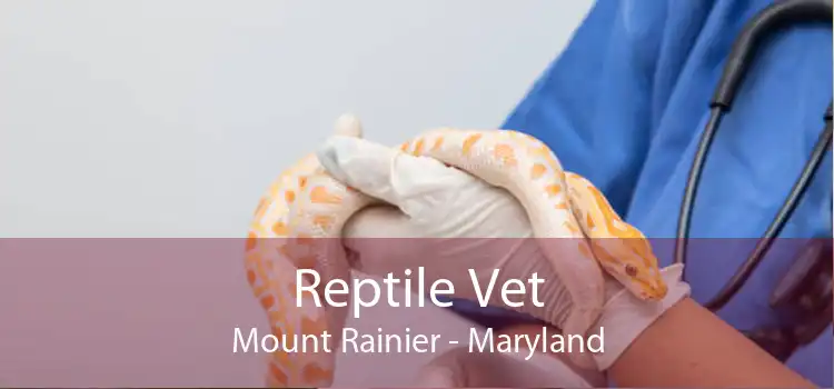 Reptile Vet Mount Rainier - Maryland