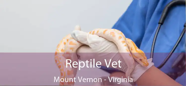 Reptile Vet Mount Vernon - Virginia