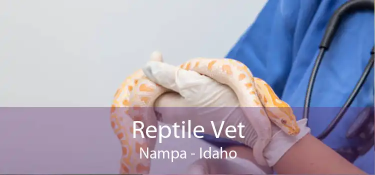 Reptile Vet Nampa - Idaho