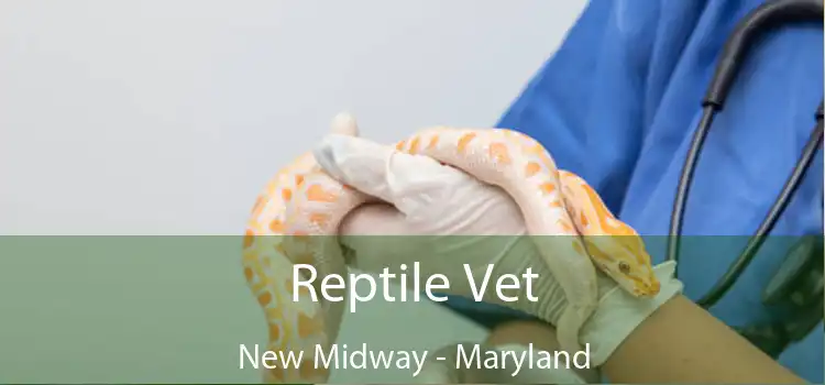 Reptile Vet New Midway - Maryland