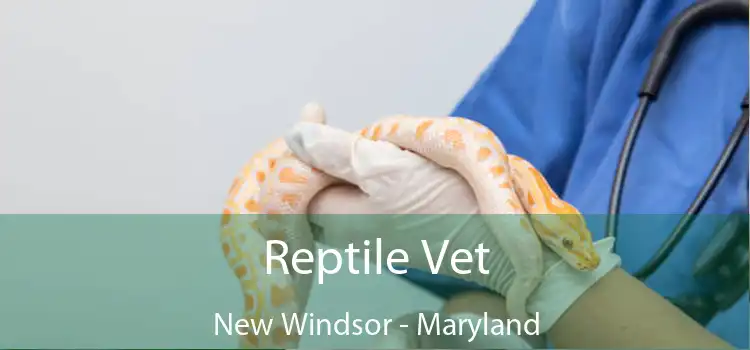 Reptile Vet New Windsor - Maryland