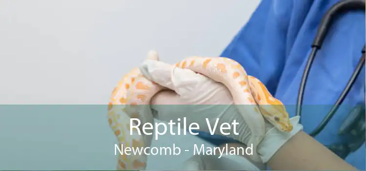 Reptile Vet Newcomb - Maryland