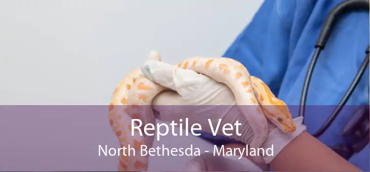 Reptile Vet North Bethesda - Maryland
