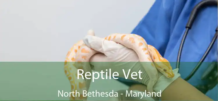 Reptile Vet North Bethesda - Maryland