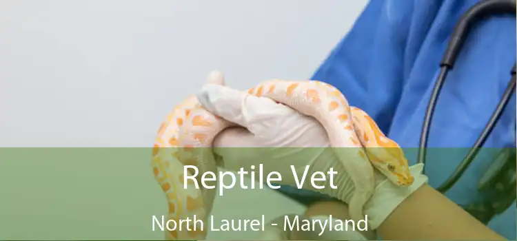 Reptile Vet North Laurel - Maryland