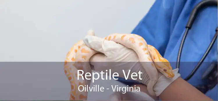 Reptile Vet Oilville - Virginia