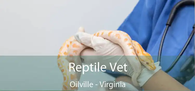 Reptile Vet Oilville - Virginia
