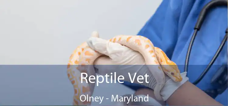 Reptile Vet Olney - Maryland