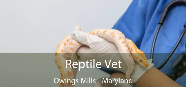 Reptile Vet Owings Mills - Maryland