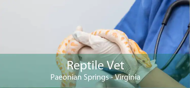 Reptile Vet Paeonian Springs - Virginia