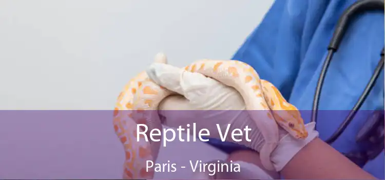 Reptile Vet Paris - Virginia