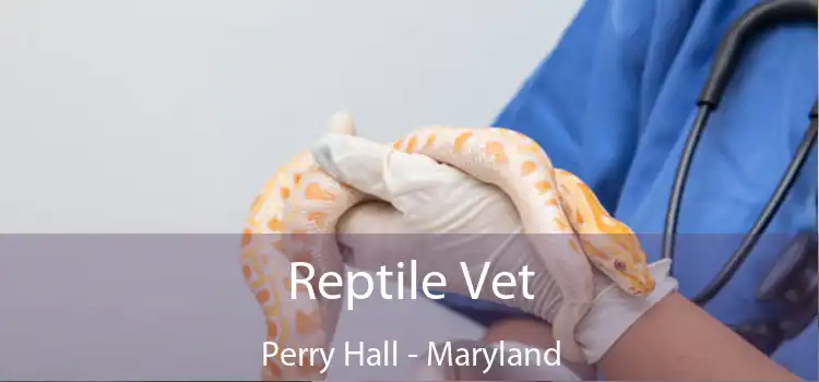 Reptile Vet Perry Hall - Maryland