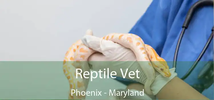 Reptile Vet Phoenix - Maryland
