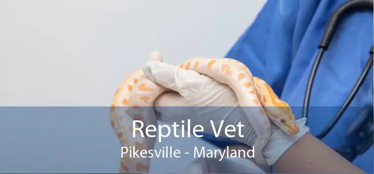 Reptile Vet Pikesville - Maryland