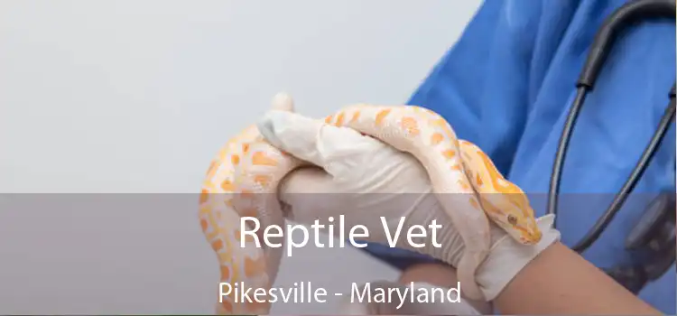 Reptile Vet Pikesville - Maryland