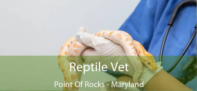 Reptile Vet Point Of Rocks - Maryland